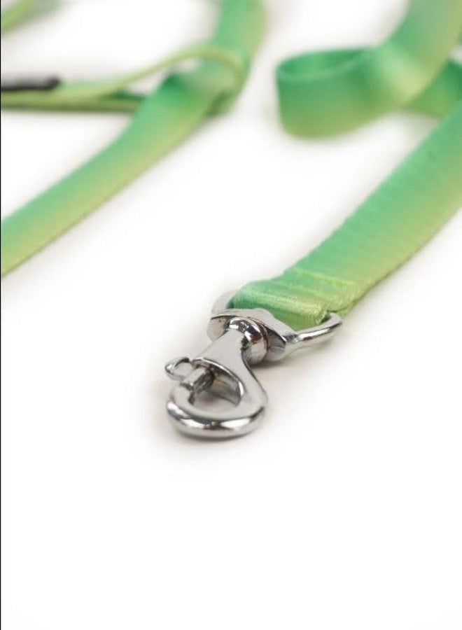 KittuPet 15 mm Easy Walk Deluxe Dog Harness, No Pull Dog Harness - Perfect for Leash & Harness Training - Stops Pets from Pulling and Choking on Walks - Large, Green - Image 2